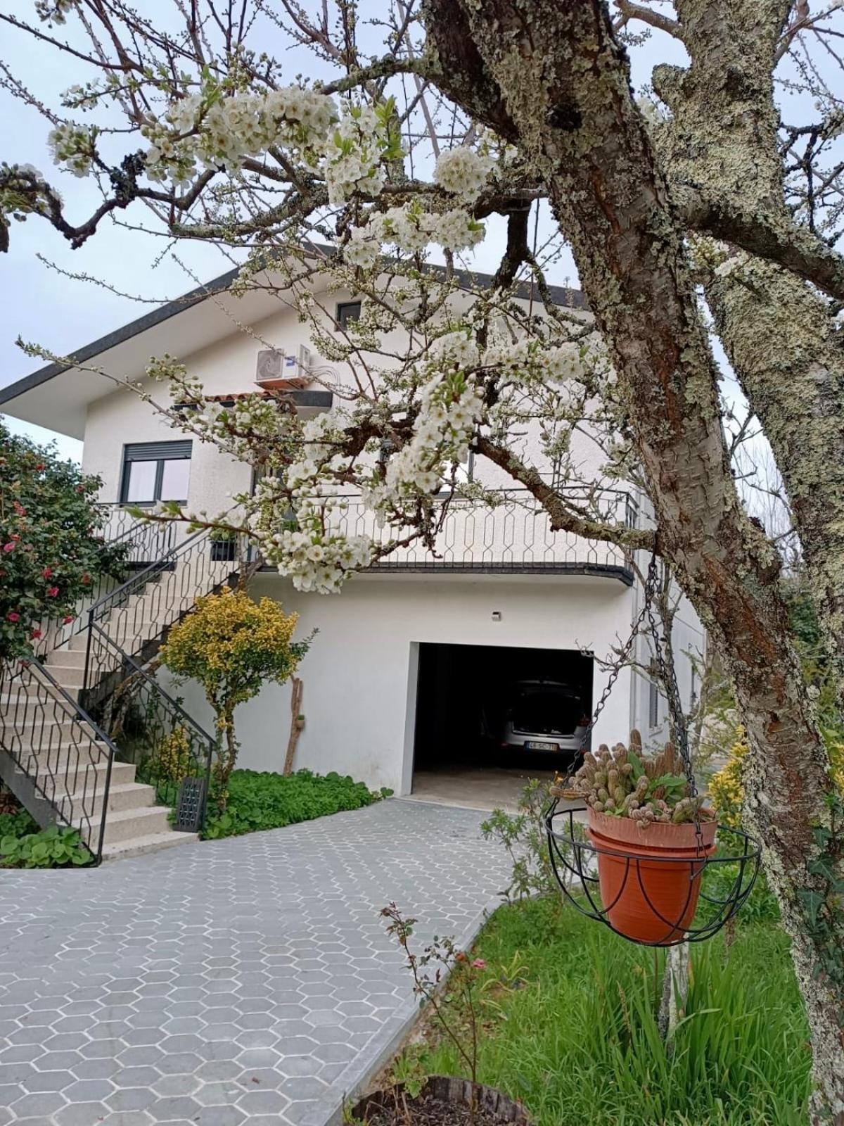 فيلا Casa De Fraguas اروكا المظهر الخارجي الصورة